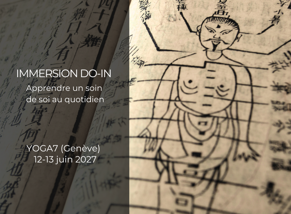 immersion-do-in-geneve-juin-2027