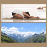 Formation yin yoga Chartreuse